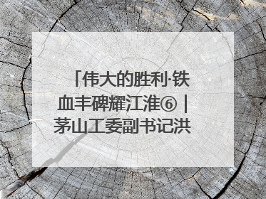 伟大的胜利·铁血丰碑耀江淮⑥｜茅山工委副书记洪天诚的亲笔信